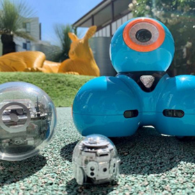 close up of three small robots in sunny courtyard